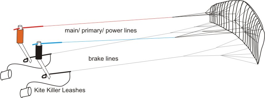 Diagram kite with 4-line handles