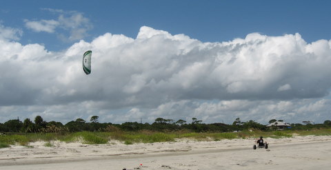 Tim Baxmeyer in buggy with new Scout